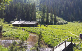 Die Wasseralm in der Röth.