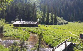 Die Wasseralm in der Röth.